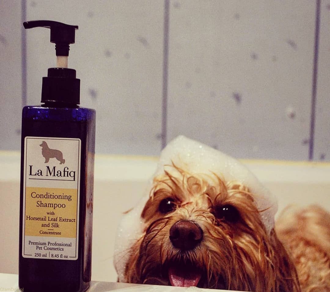 najlepszy szampon myjacy dla psa